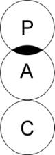 transational analysis parent contamination